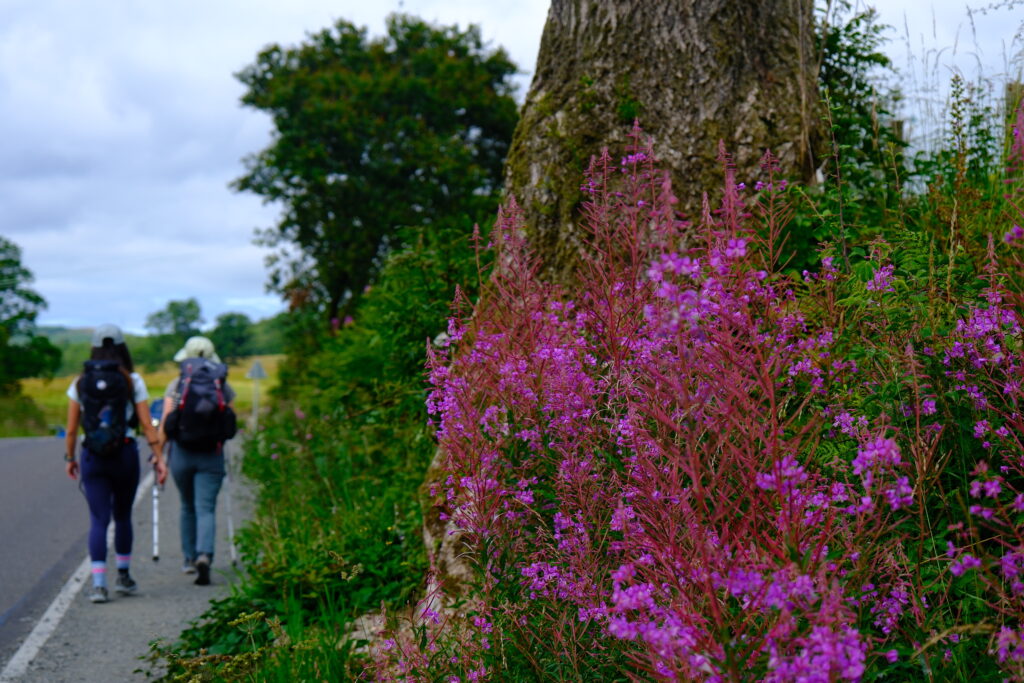 West Highland Way 西高地步道