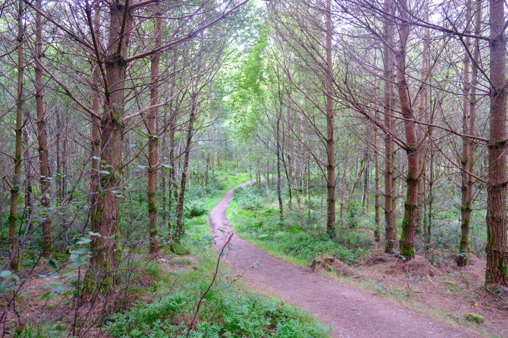 West Highland Way 西高地步道