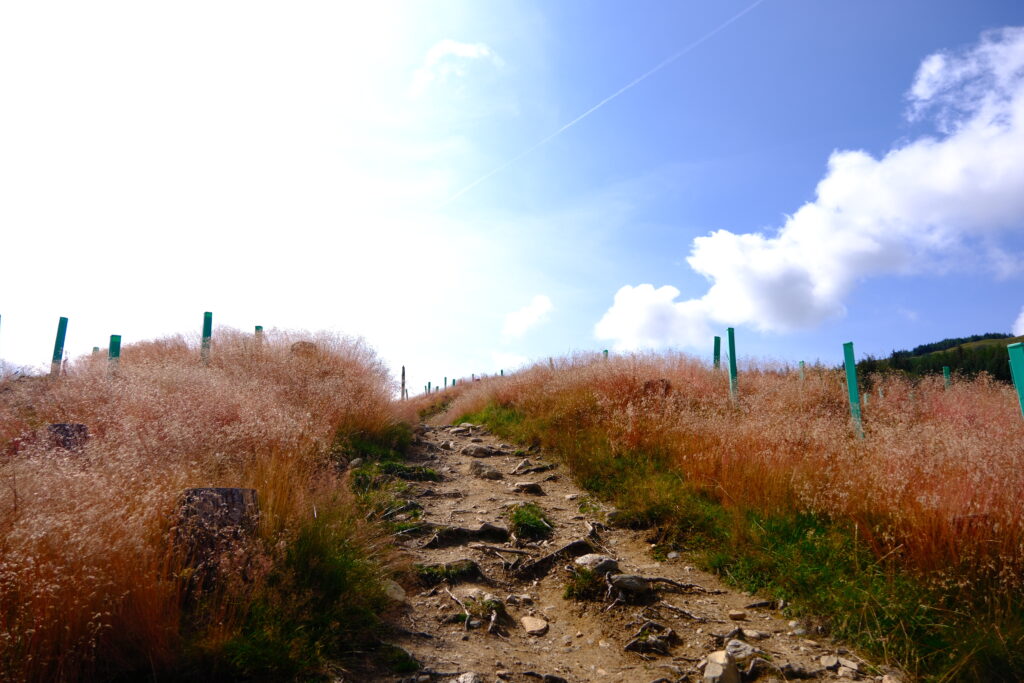 West Highland Way 西高地步道