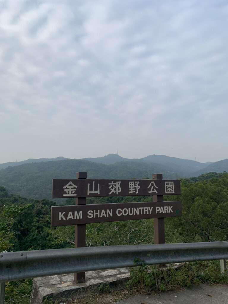 金山郊野公園 MacLehose Trail 麥理浩徑