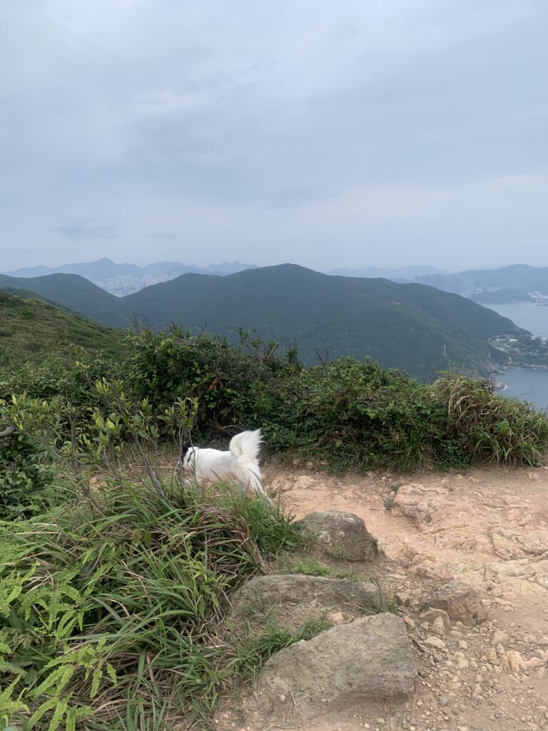 港島徑 Hong Kong Trail