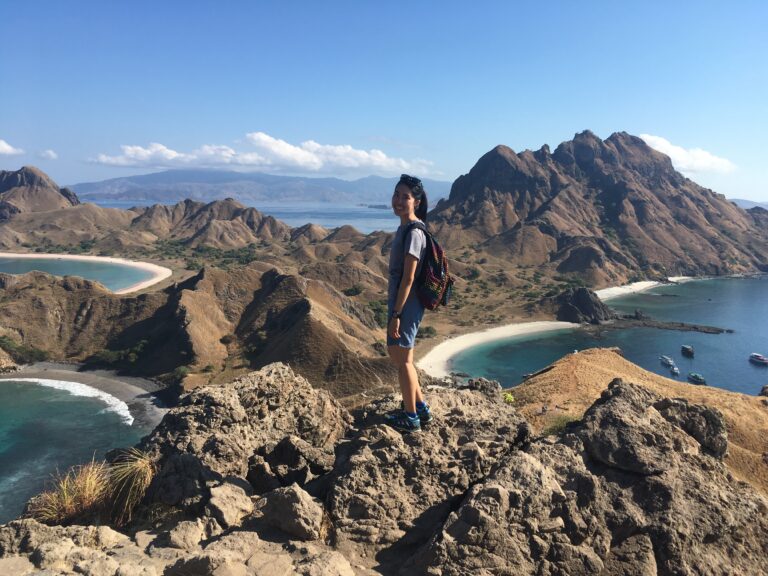 Indonesia Padar Island 印尼 帕達爾島