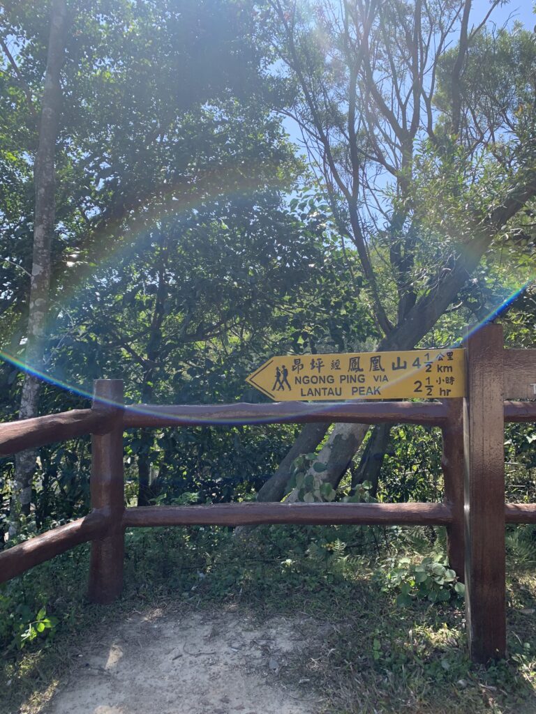 Hong Kong Lantau Trail 香港 鳳凰徑