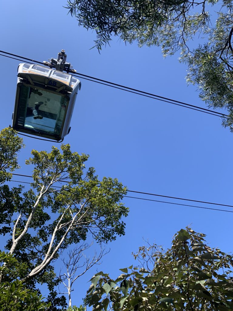 昂坪纜車 Ngong Ping 360