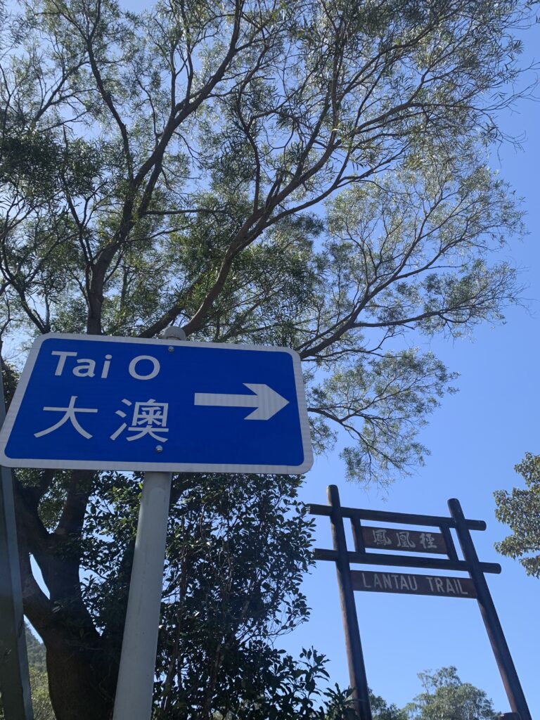 Hong Kong Lantau Trail 香港 鳳凰徑