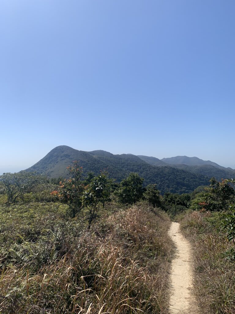 Hong Kong Lantau Trail 香港 鳳凰徑