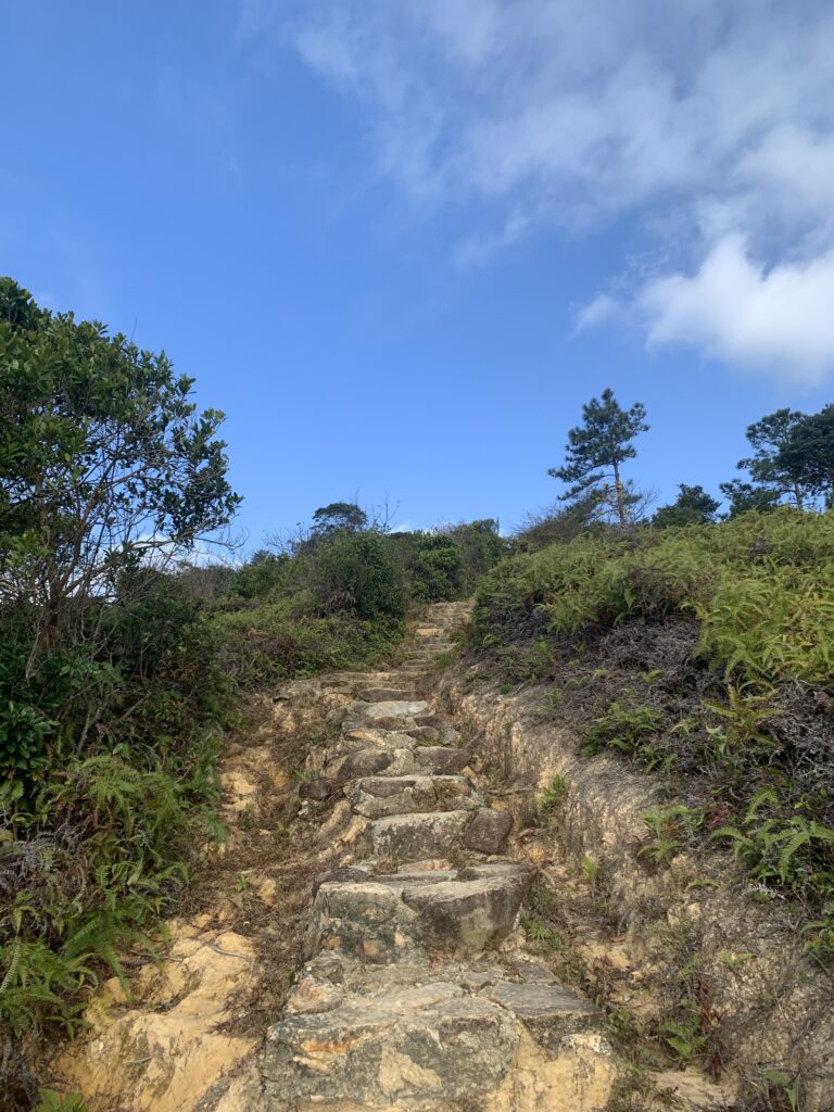 Hong Kong Lantau Trail 香港 鳳凰徑