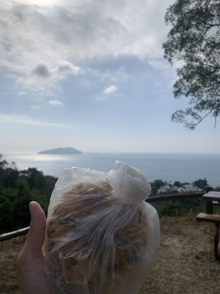 Hong Kong Lantau Trail 香港 鳳凰徑