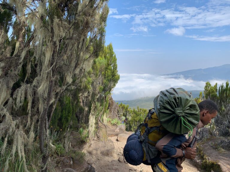 Tanzania Mount Kilimanjaro 坦尚尼亞 吉力馬札羅山