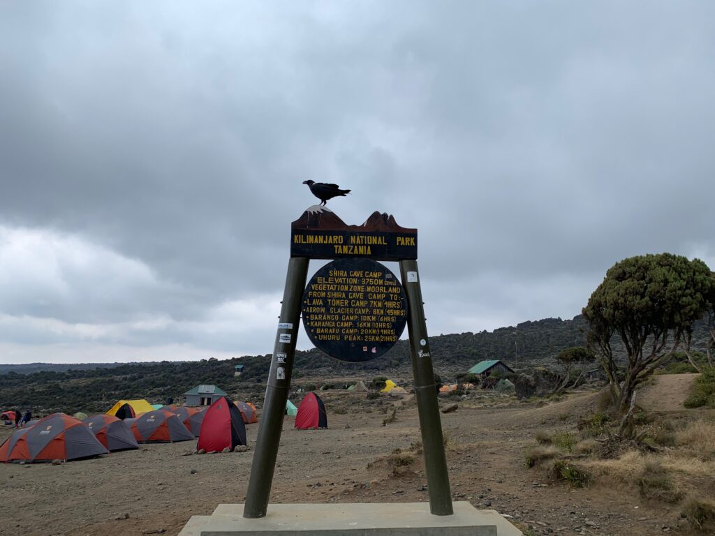 Tanzania Mount Kilimanjaro 坦尚尼亞 吉力馬札羅山