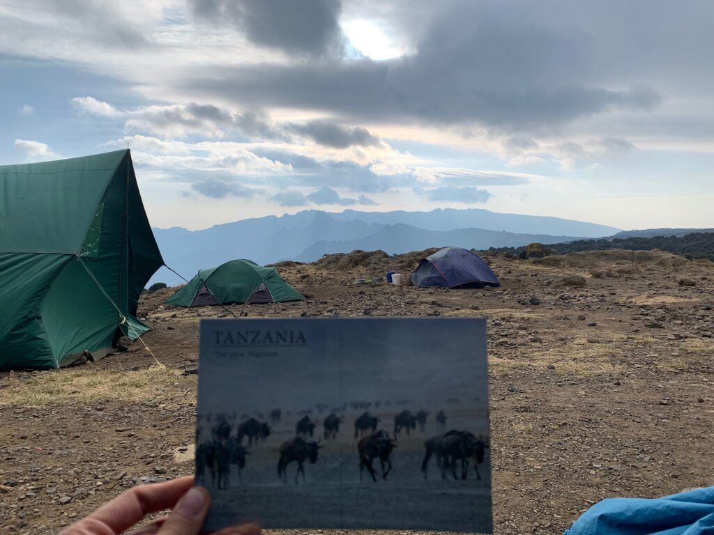 Tanzania Mount Kilimanjaro 坦尚尼亞 吉力馬札羅山