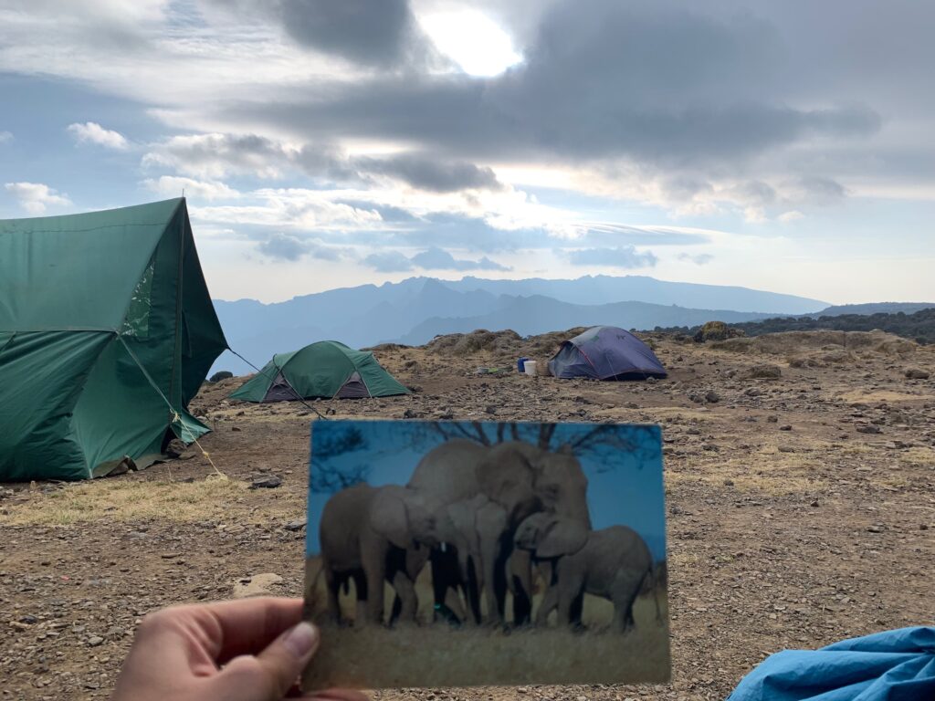 Tanzania Mount Kilimanjaro 坦尚尼亞 吉力馬札羅山