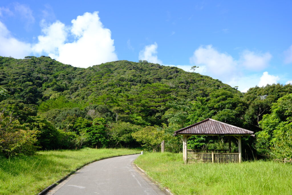 名護 Nago Okinawa Japan 沖繩 日本