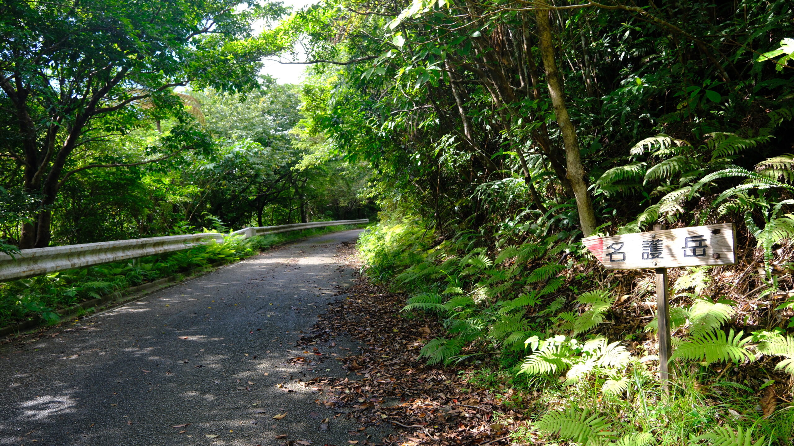 名護 Nago Okinawa Japan 沖繩 日本