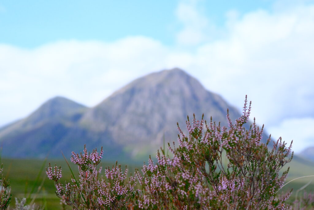 West Highland Way 西高地步道