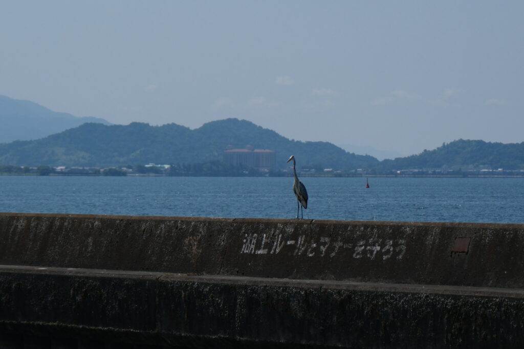 琵琶湖 Lake Biwa 日本 Japan