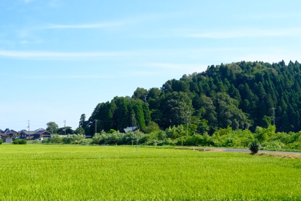 琵琶湖 Lake Biwa 日本 Japan