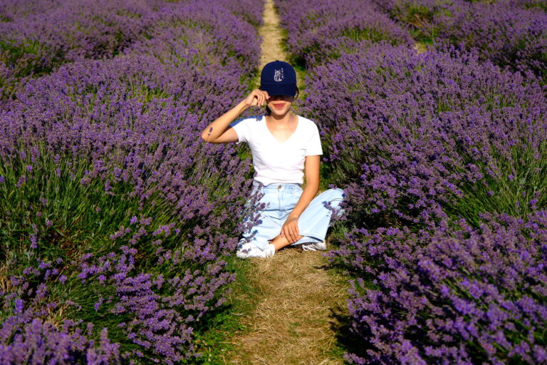 Mayfield Lavender Farm