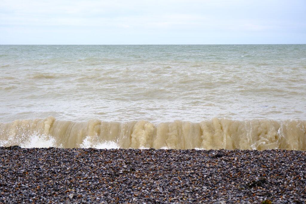 Birling Gap and the Seven Sisters