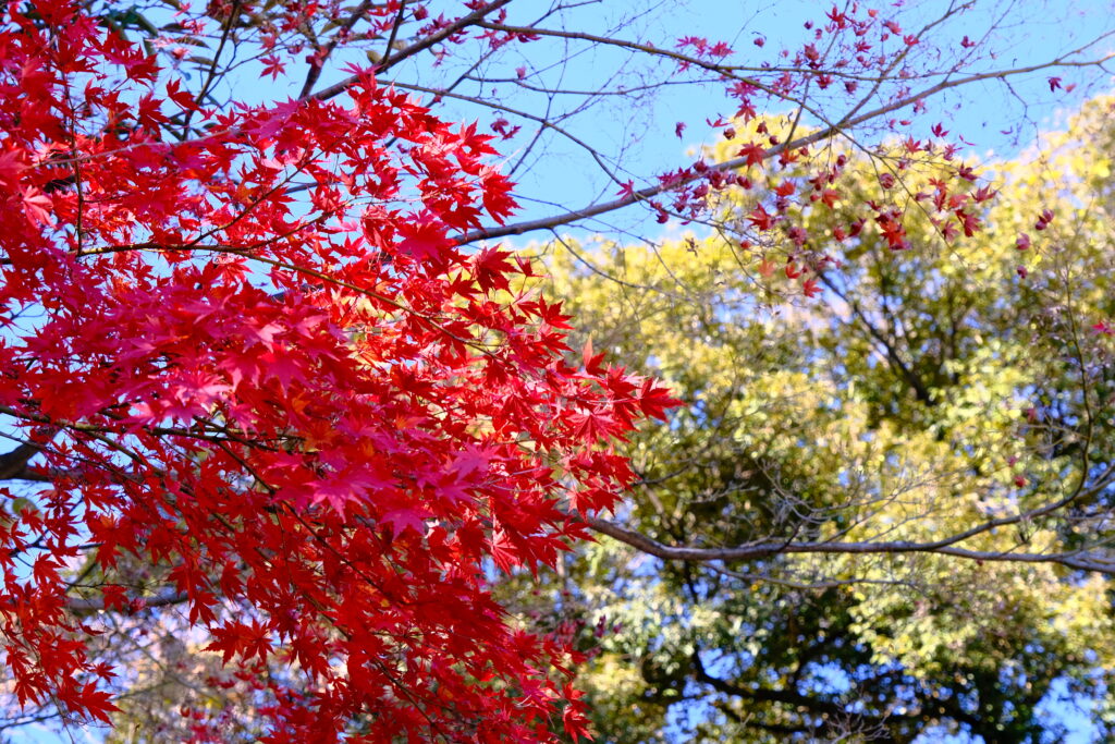 熱田神宮