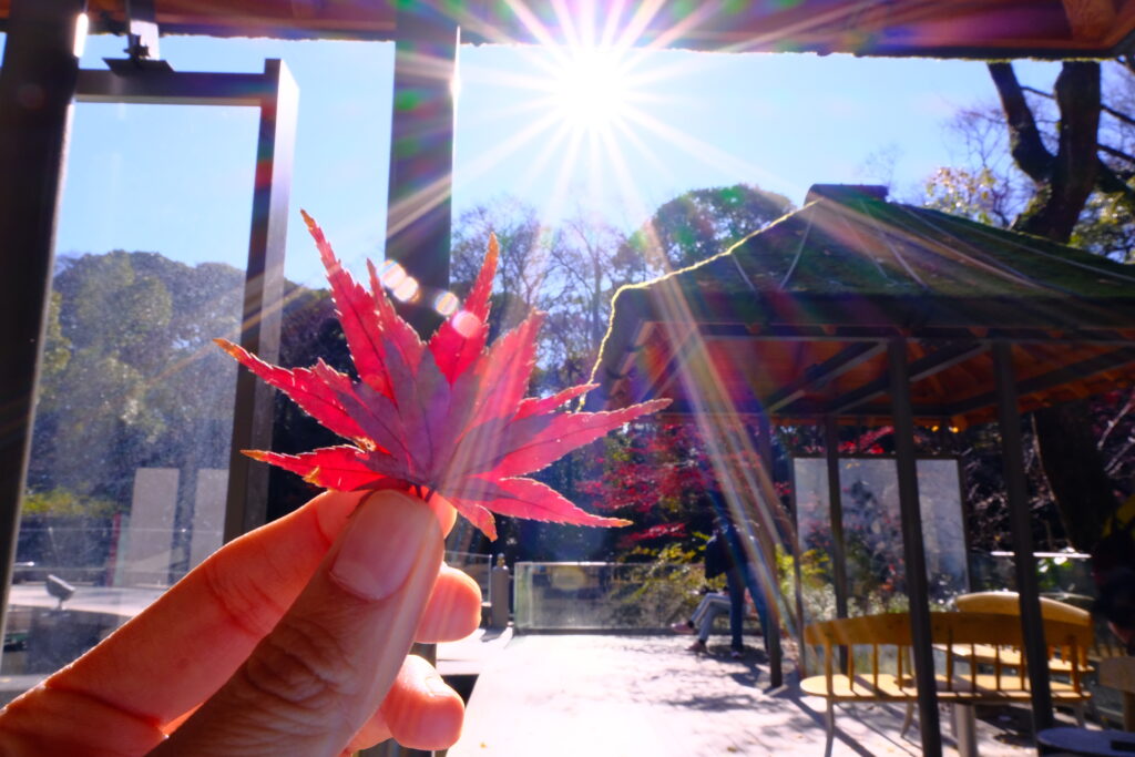 熱田神宮