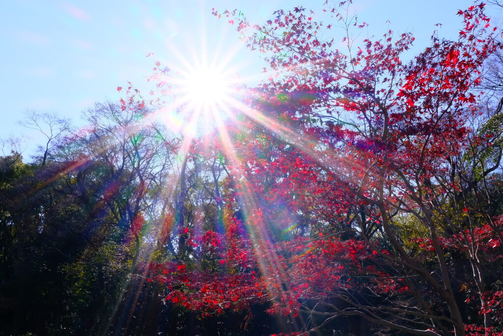 熱田神宮