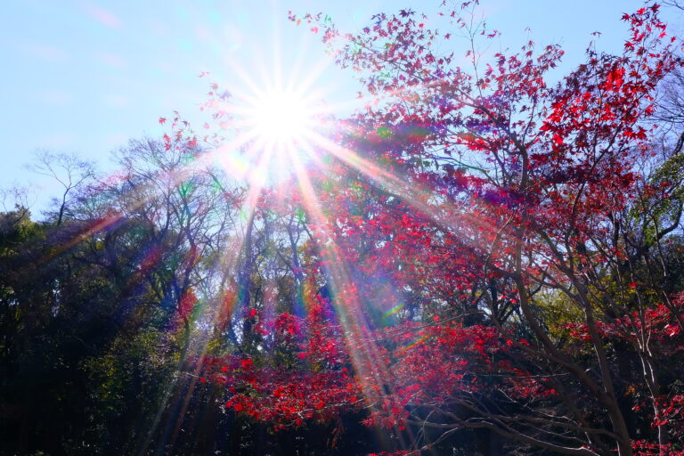 熱田神宮