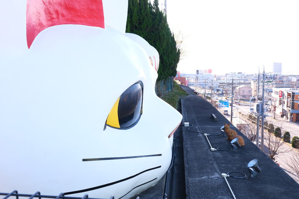 名古屋 招財貓
